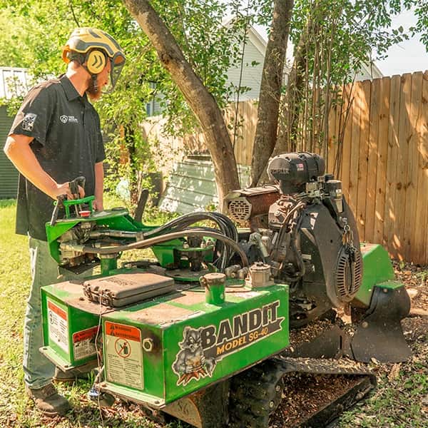 Arborist consultation on commercial site — Bee Cave, TX