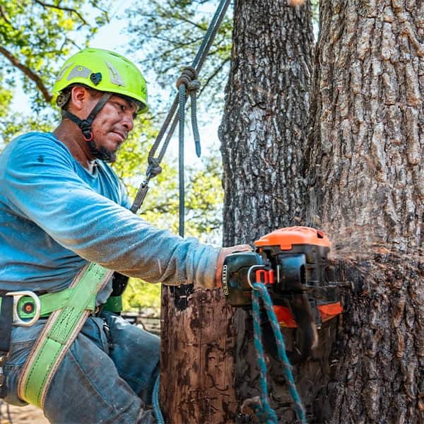 Tree work project — Liberty Hill, TX