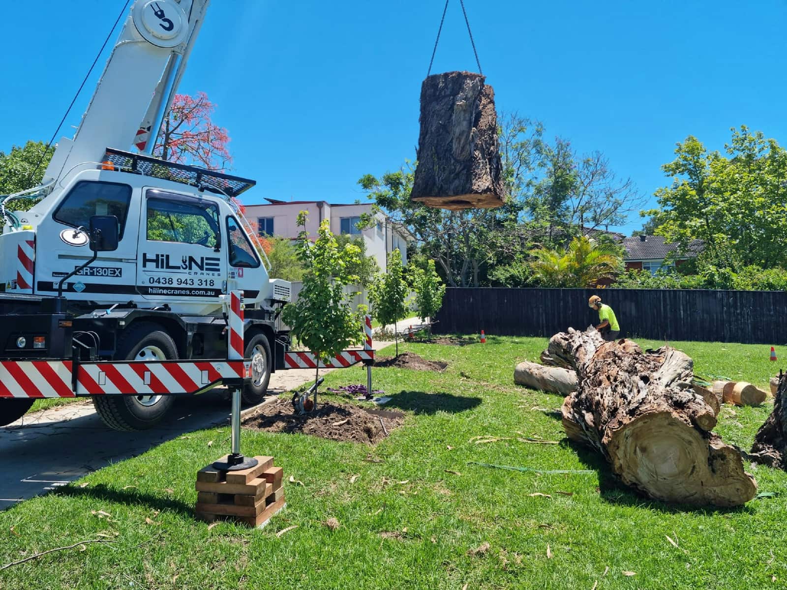 Industrial stump grinding and root removal